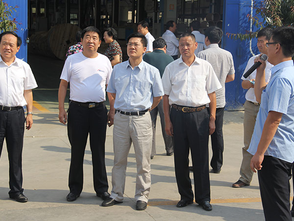 邢台市市长孟祥伟到尊龙凯时线缆集团视察