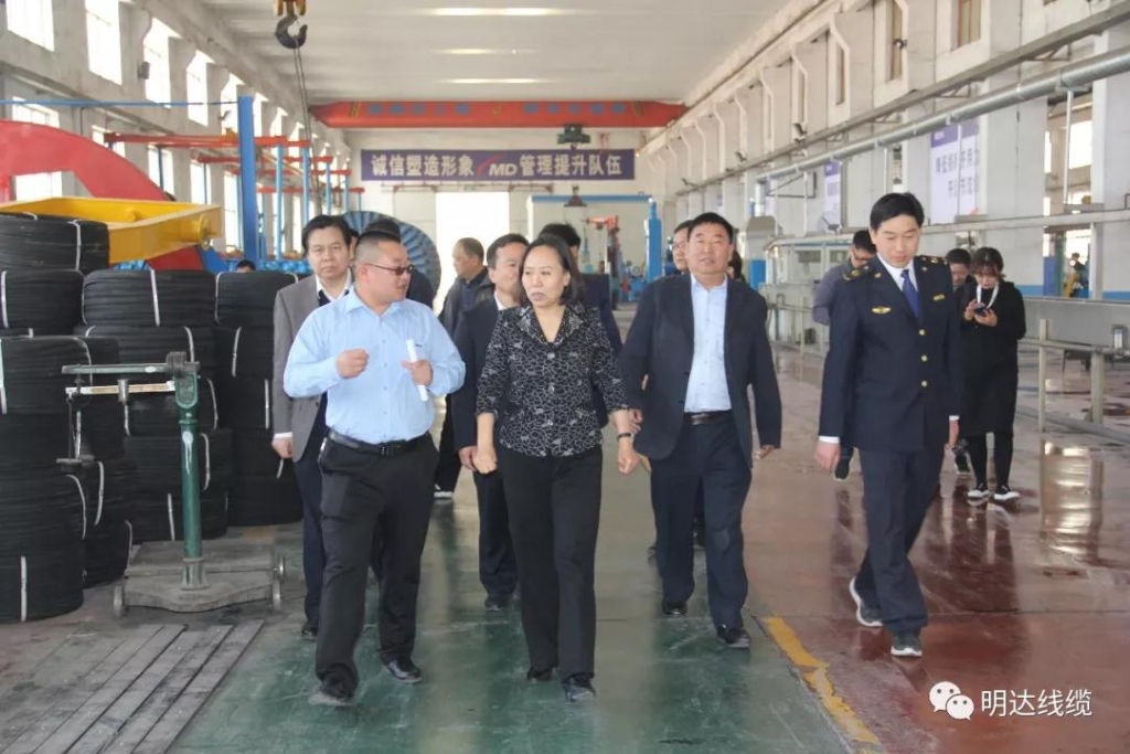 河北省市场羁系局党组书记丁锦霞莅临尊龙凯时考察调研